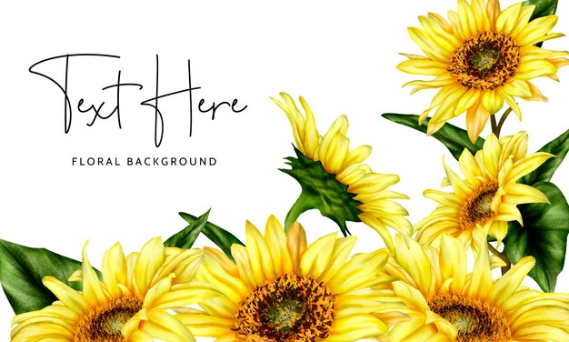 hermosa acuarela floreciente girasol floral plantilla de fondo