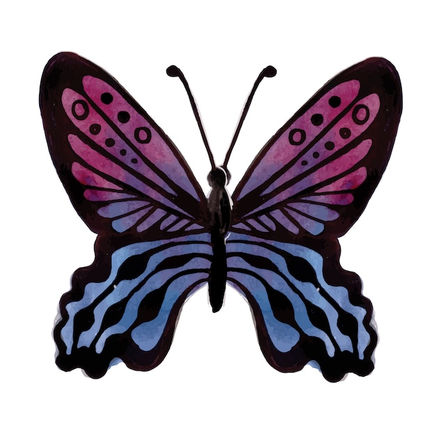 Vector gratuito hermosa acuarela mariposa