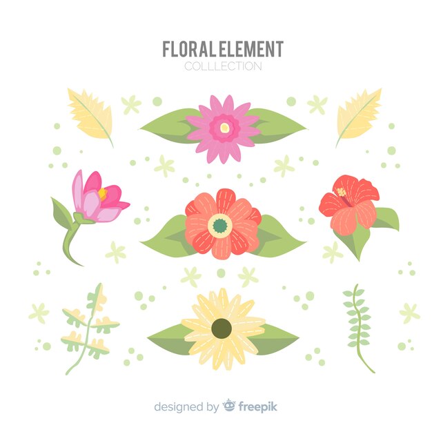 Hermosa colección de elementos florales