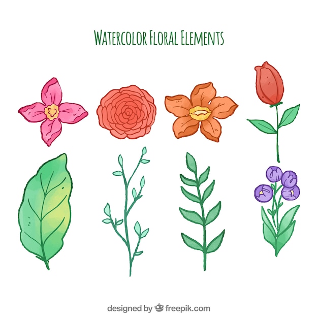 Vector gratuito hermosa colección de elementos flores