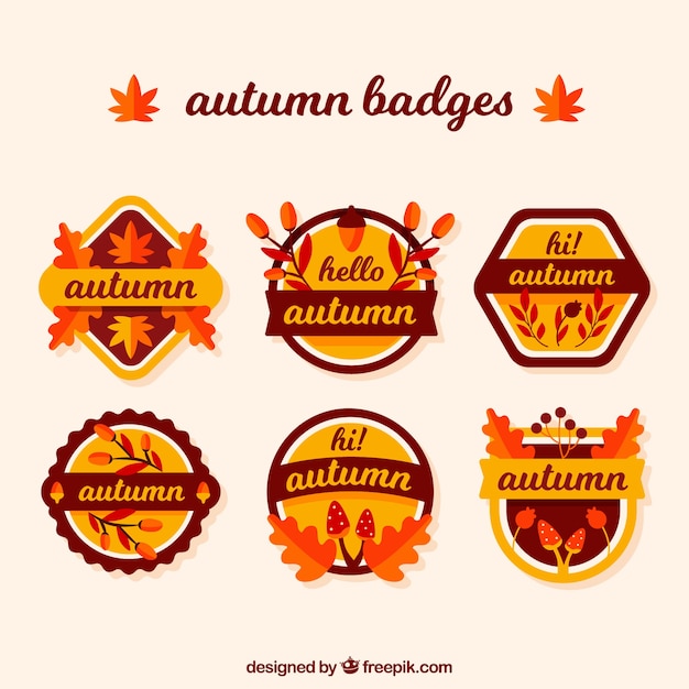 Hermosa colección de etiquetas de otoño