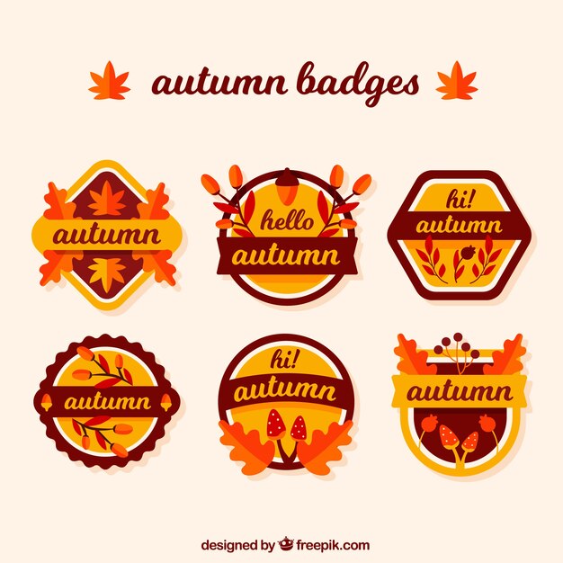 Hermosa colección de etiquetas de otoño