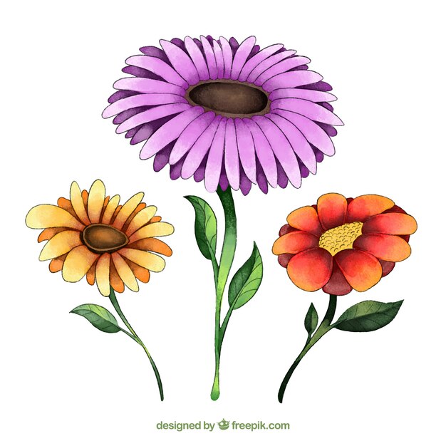 Hermosa colección de flores de primavera de acuarela