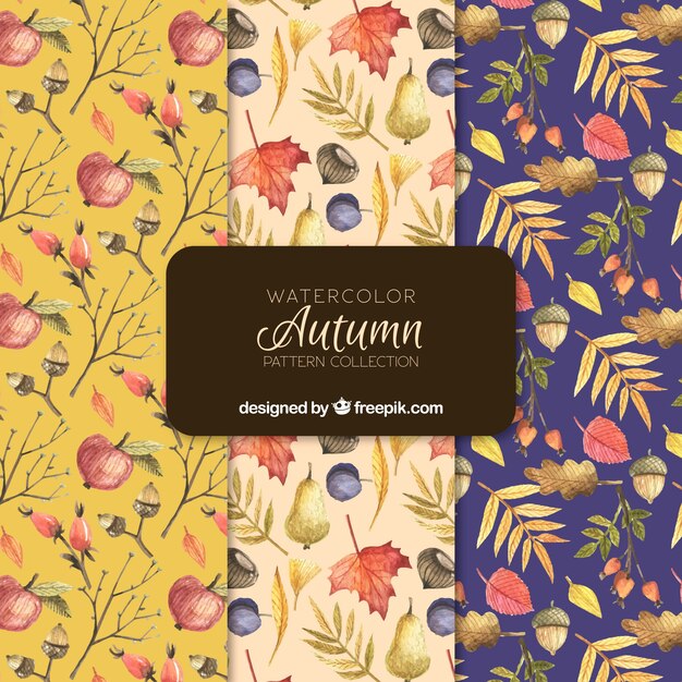 Hermosa colección de patrones de otoño
