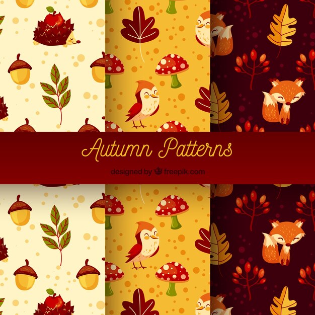 Hermosa colección de patrones de otoño