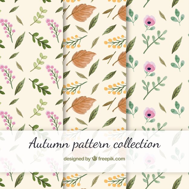 Hermosa colección de patrones de otoño