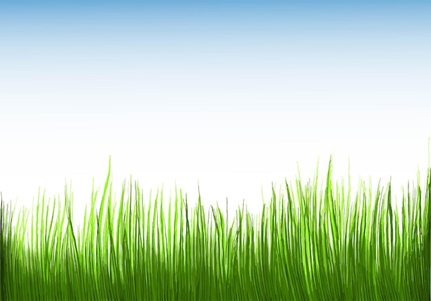 Vector gratuito hermosa hierba verde fondo aislado