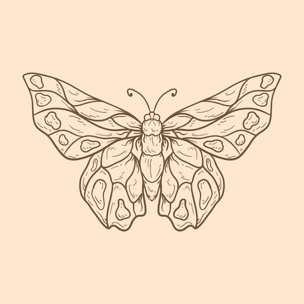 Hermosa ilustración de contorno de mariposa