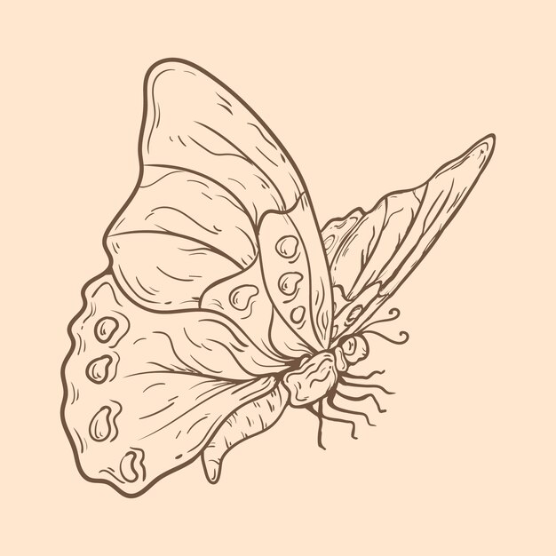 Hermosa ilustración de contorno de mariposa