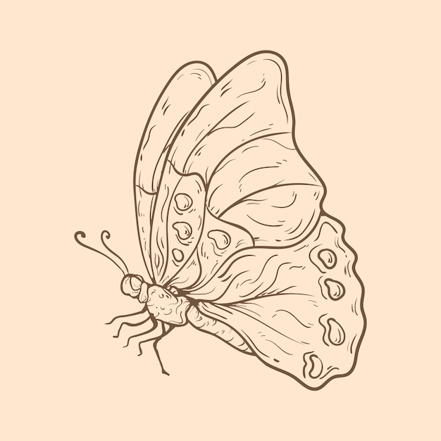 Hermosa ilustración de contorno de mariposa