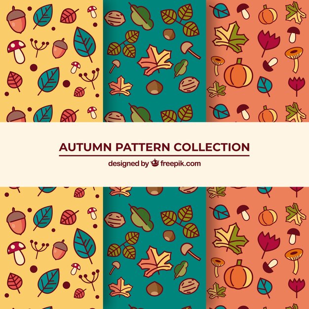 Hermosas colección de patrones de otoño