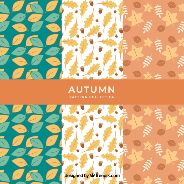Hermosas colección de patrones de otoño