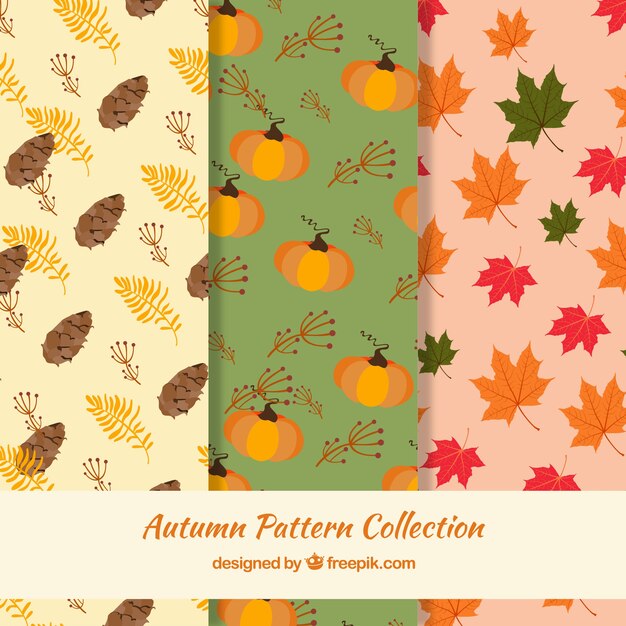 Hermosas colección de patrones de otoño
