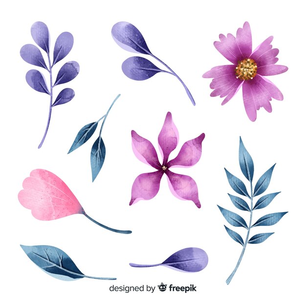 Hermosas flores y hojas de acuarela