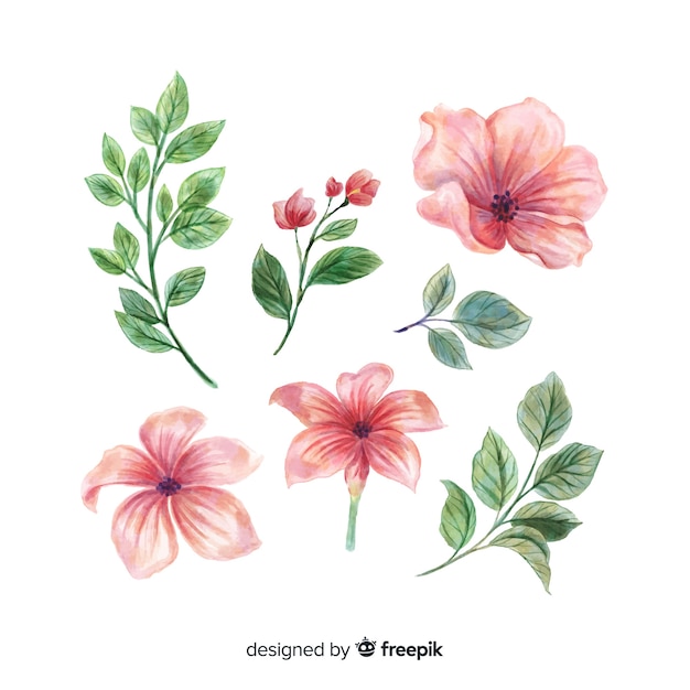 Vector gratuito hermosas flores y hojas de acuarela