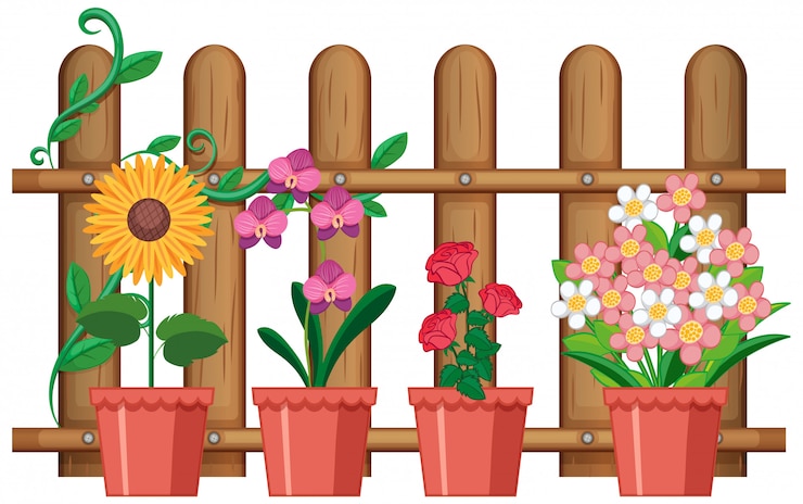 Vector gratuito hermosas flores en macetas sobre fondo blanco.
