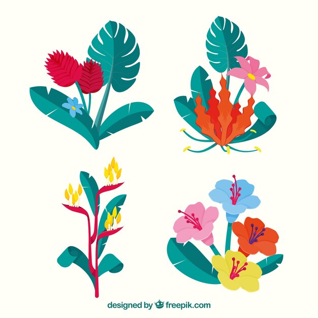 Un hermoso conjunto de flores tropicales