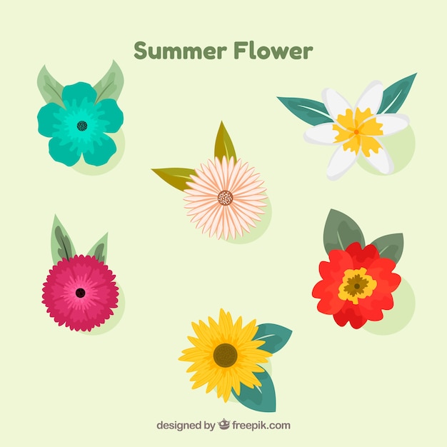 Un hermoso conjunto de flores tropicales