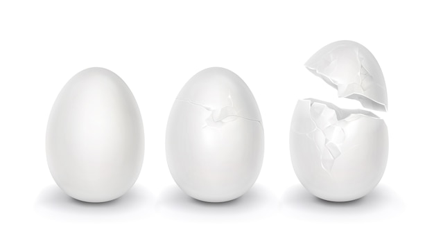 Hermoso conjunto de ilustración de huevo