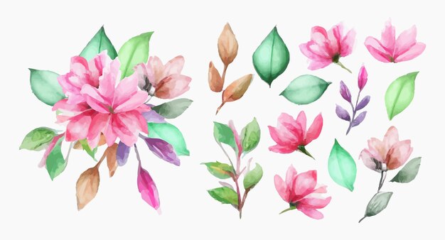 Hermoso conjunto de ramo de flores y hojas de acuarela. Elementos florales de acuarela