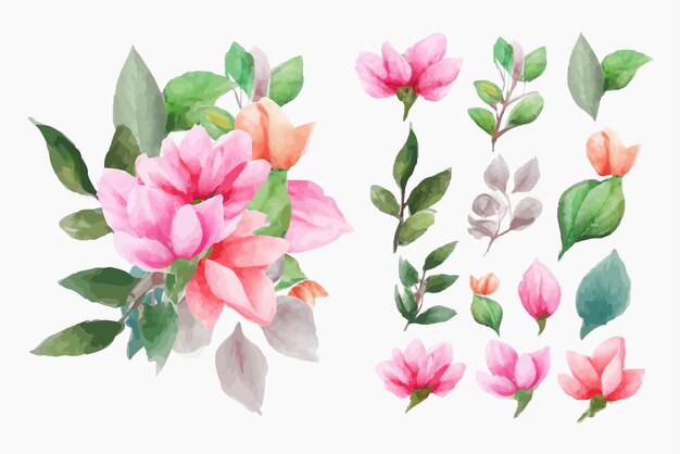 Hermoso conjunto de ramo de flores y hojas de acuarela. Elementos florales de acuarela