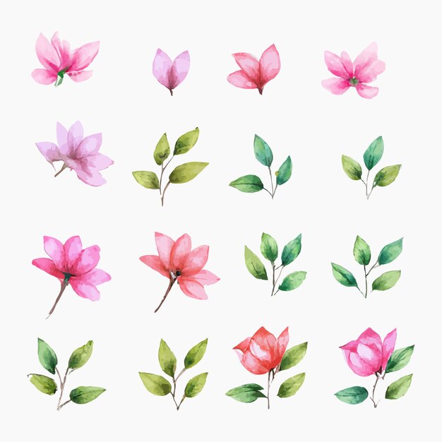 Hermoso conjunto de ramo de flores y hojas de acuarela. Elementos florales de acuarela