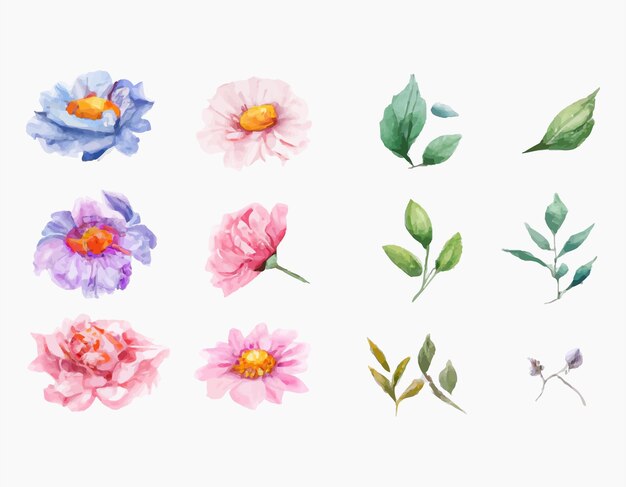Hermoso conjunto de ramo de flores y hojas de acuarela. Elementos florales de acuarela