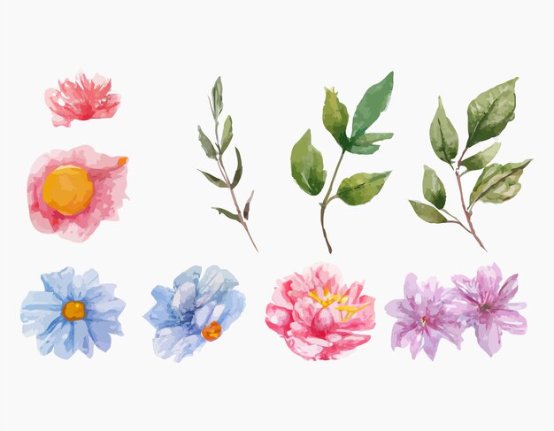Hermoso conjunto de ramo de flores y hojas de acuarela. Elementos florales de acuarela