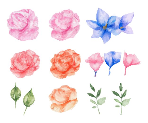 Hermoso conjunto de ramo de flores y hojas de acuarela. Elementos florales de acuarela