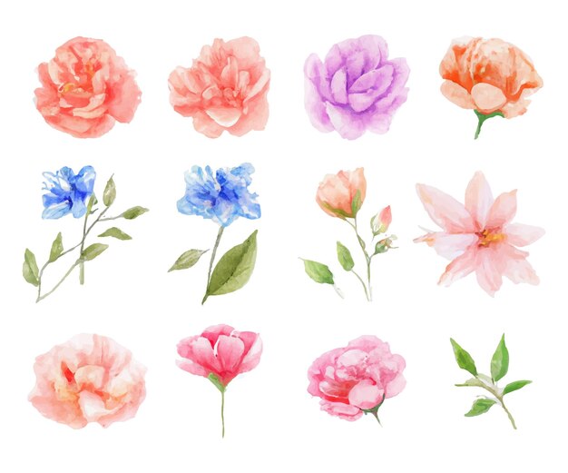 Hermoso conjunto de ramo de flores y hojas de acuarela. Elementos florales de acuarela