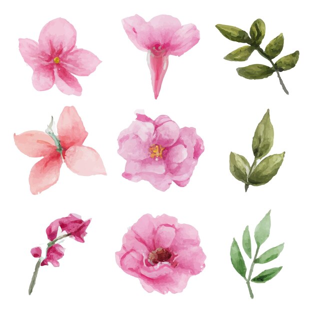 Hermoso conjunto de ramo de flores y hojas de acuarela. Elementos florales de acuarela
