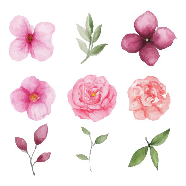 Hermoso conjunto de ramo de flores y hojas de acuarela. Elementos florales de acuarela