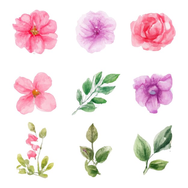 Hermoso conjunto de ramo de flores y hojas de acuarela. Elementos florales de acuarela