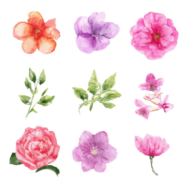 Hermoso conjunto de ramo de flores y hojas de acuarela. Elementos florales de acuarela