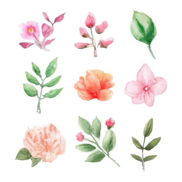 Hermoso conjunto de ramo de flores y hojas de acuarela. Elementos florales de acuarela