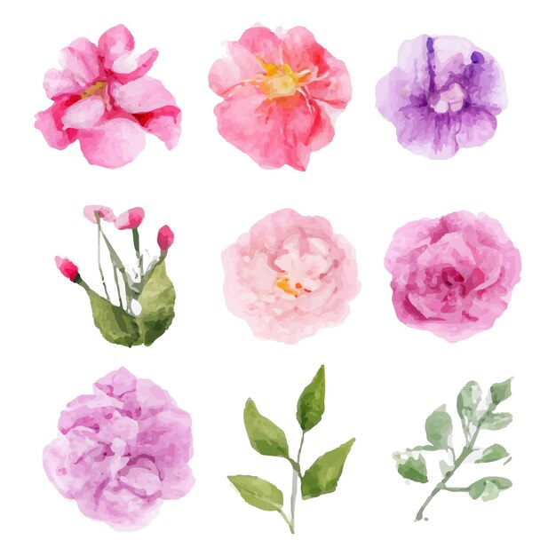 Hermoso conjunto de ramo de flores y hojas de acuarela. Elementos florales de acuarela