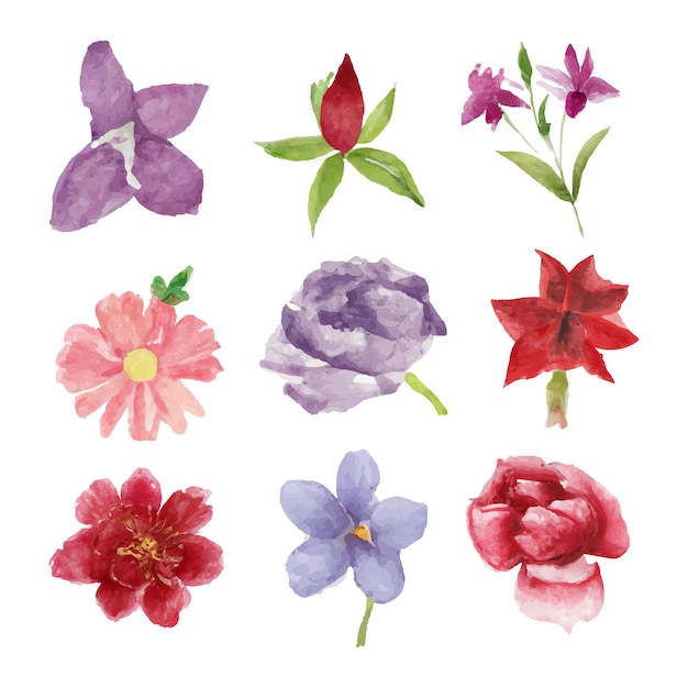 Hermoso conjunto de ramo de flores y hojas de acuarela. Elementos florales de acuarela