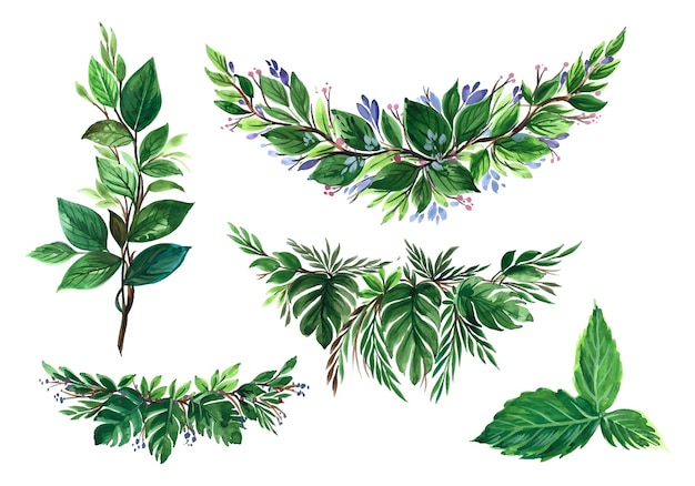 Hermoso diseño de conjunto de hojas de acuarela verde manojo