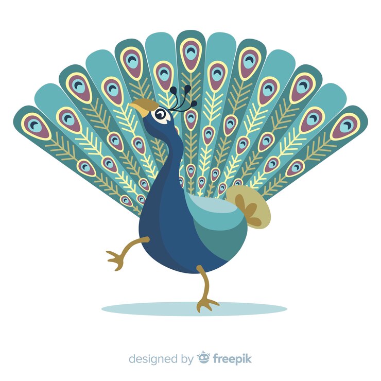Vector gratuito hermoso diseño de pavo real