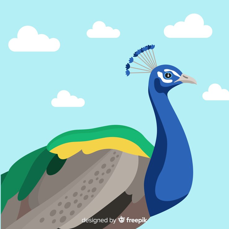 Vector gratuito hermoso diseño de pavo real