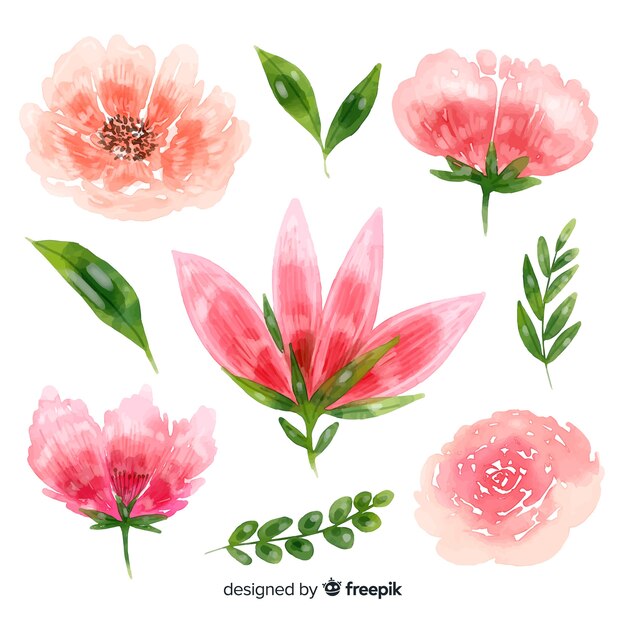 Flores Acuarela | Fotos y Vectores gratis
