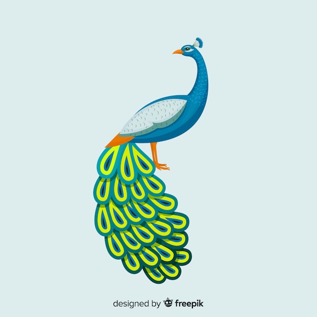 Hermoso fondo de pavo real
