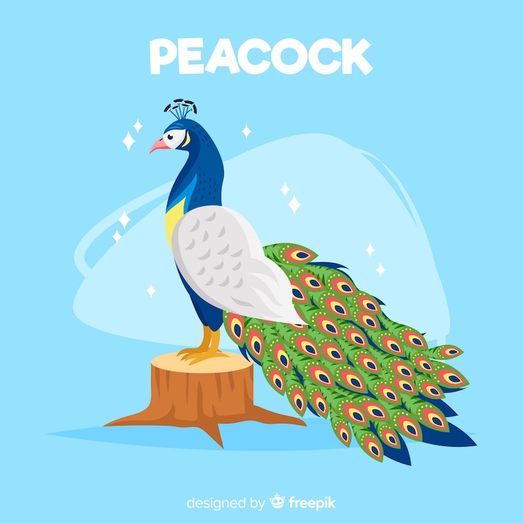Vector gratuito hermoso fondo de pavo real