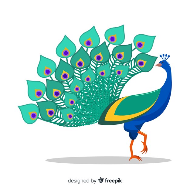 Hermoso fondo de pavo real