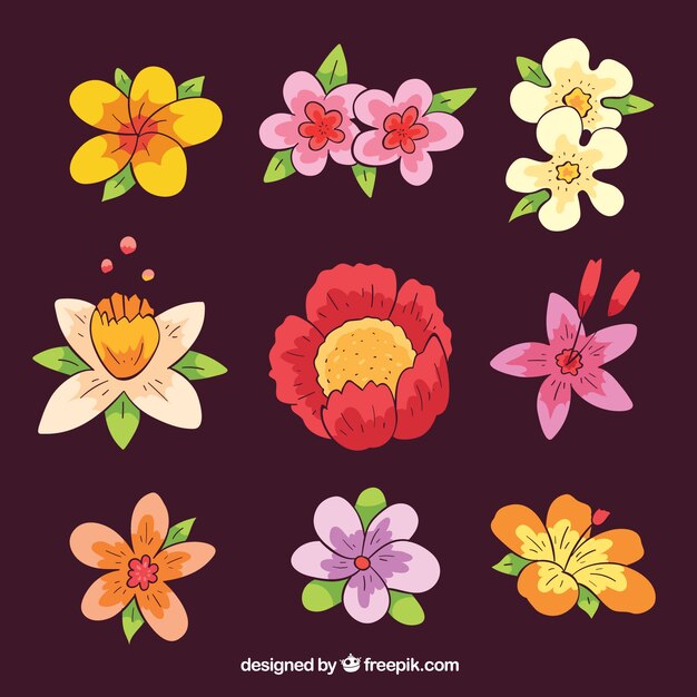 Hermoso pack de flores tropicales dibujados a mano