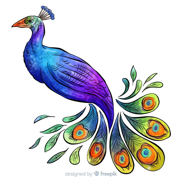 Hermoso pavo real de acuarela