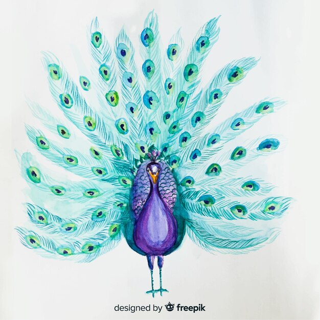 Hermoso pavo real de acuarela