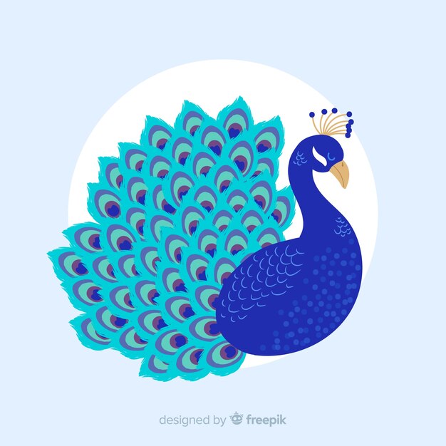 Hermoso pavo real dibujado a mano