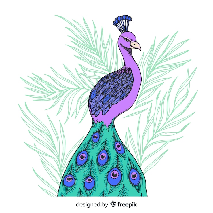 Vector gratuito hermoso pavo real en estilo dibujo a mano