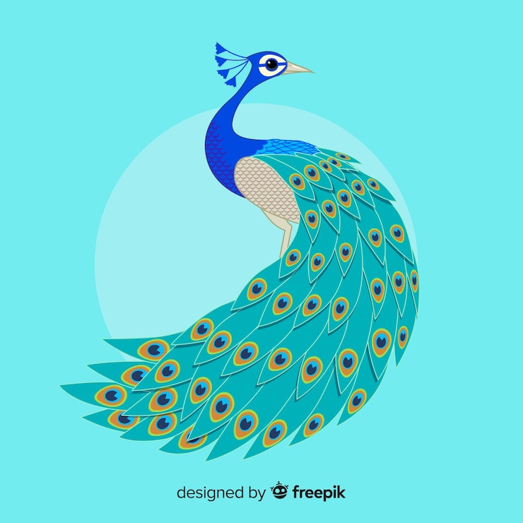 Vector gratuito hermoso pavo real en estilo dibujo a mano